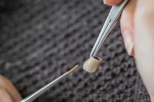 Tooth crown being painted by a brush